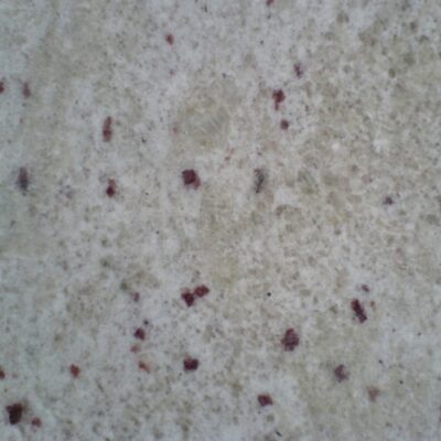 BiancoRomano-B.311121928_std