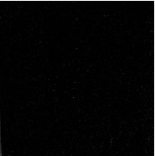 Absolute black granite tile 311121850 std